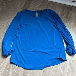 Adrianna Papell Blue Blouse